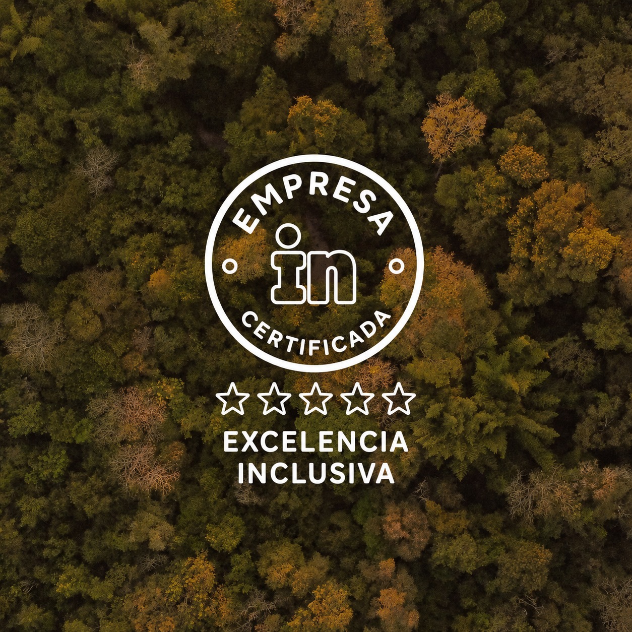 Construimos una empresa para todos